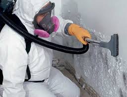 Asbestos and Lead Testing During Mold Inspection in Warroad, MN